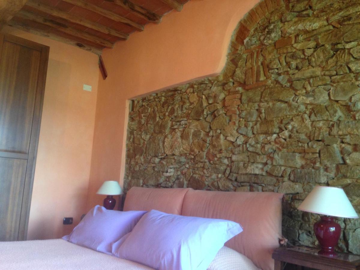 Colle Donatucci Country house Castagneto Carducci